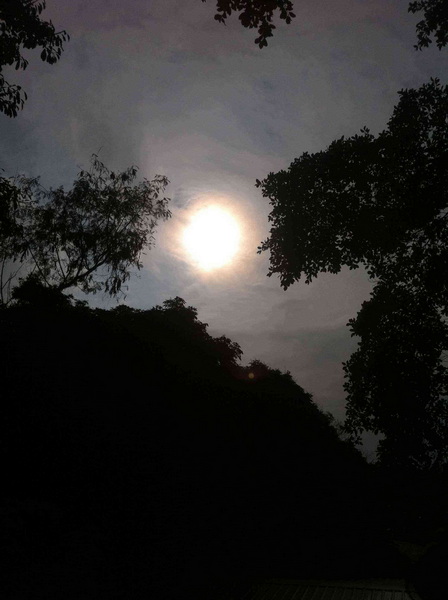 照片 481.jpg