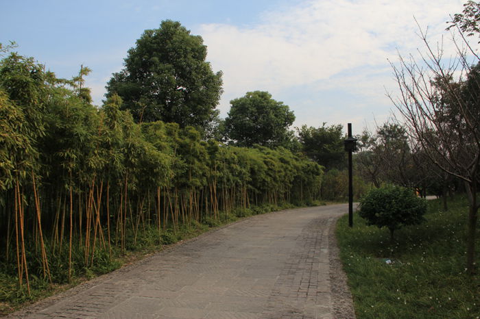 H6.jpg