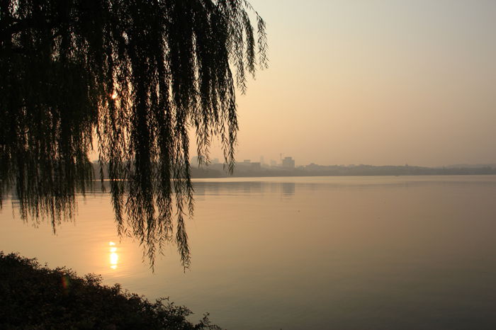 H19.jpg