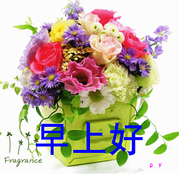 未让.gif
