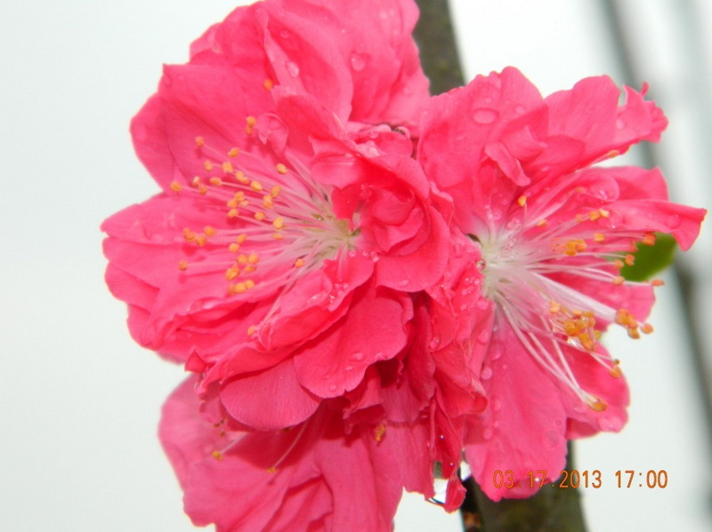 QQ图片20130318133040.jpg