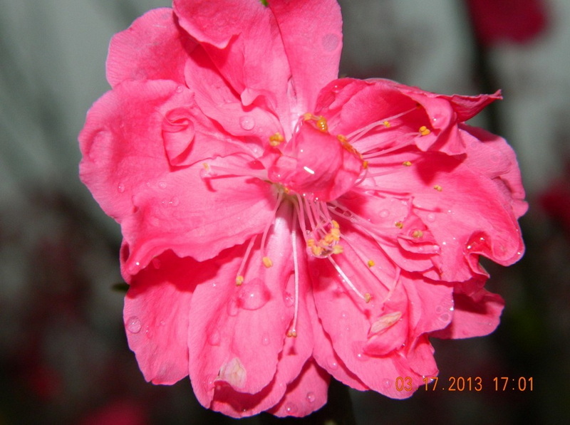 QQ图片20130318133050.jpg