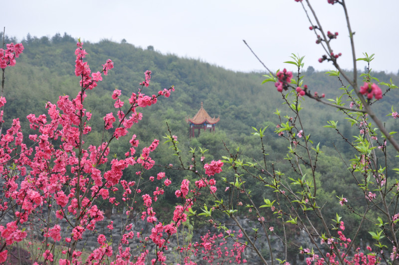 仙遇岭美丽的桃花岛