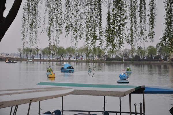 东湖美景