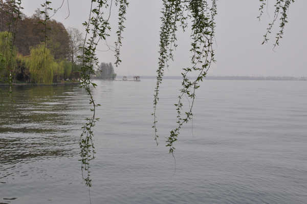 东湖美景