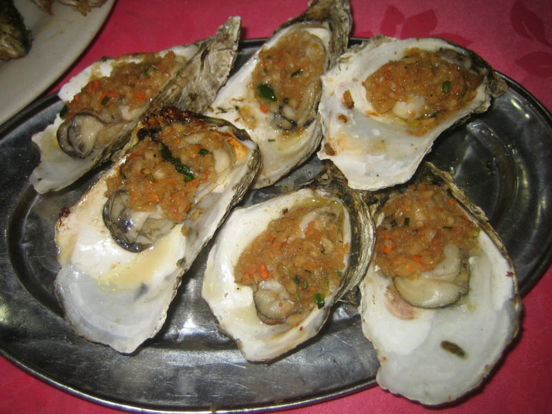 照片 981.jpg