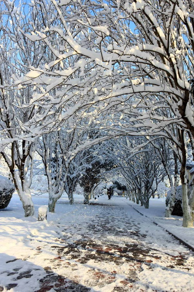13.jpg