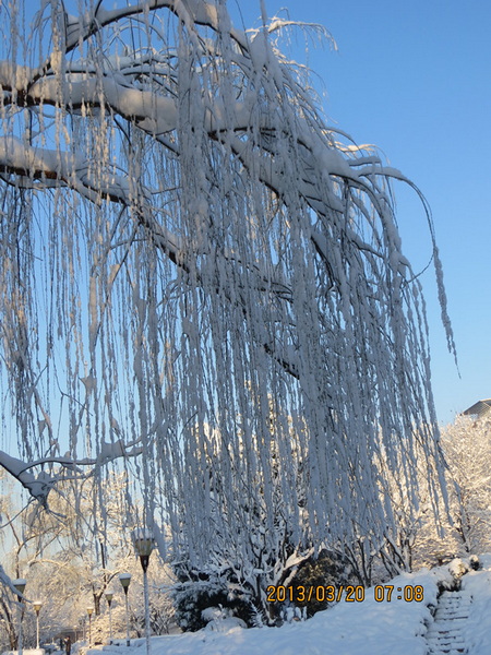IMG_0780_副本.jpg