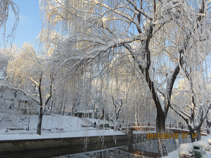 IMG_0805_副本.jpg