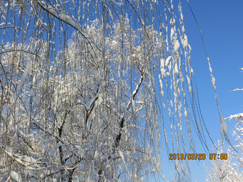 IMG_0895_副本.jpg