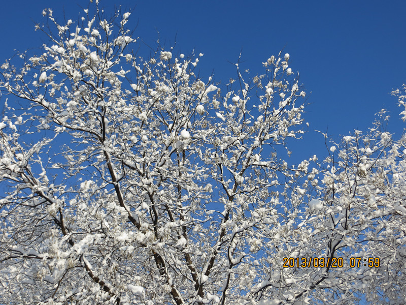 IMG_0915_副本.jpg