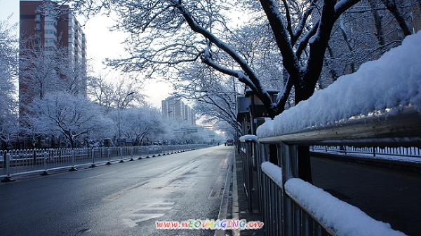 DSC02017.jpg