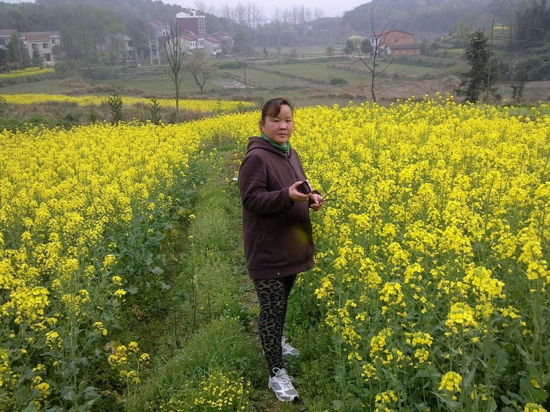 00.jpg