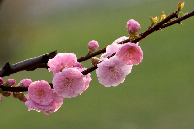 IMG_0170_副本.jpg