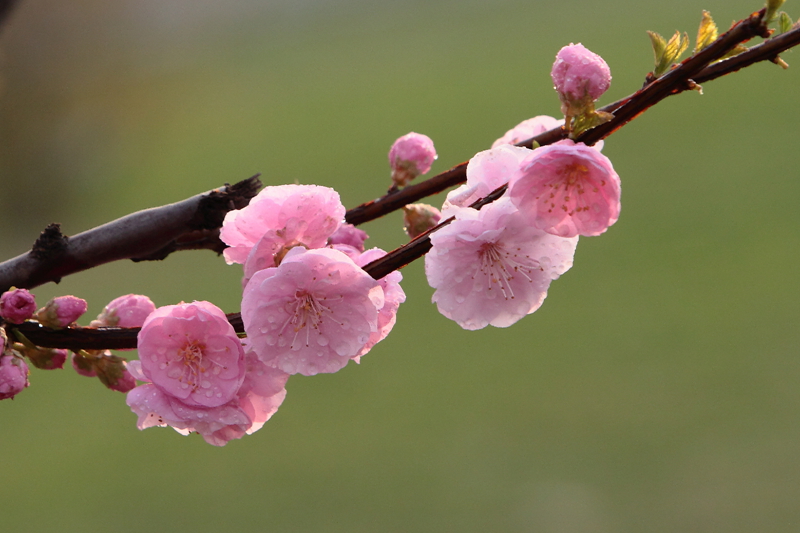 IMG_0170_副本.jpg