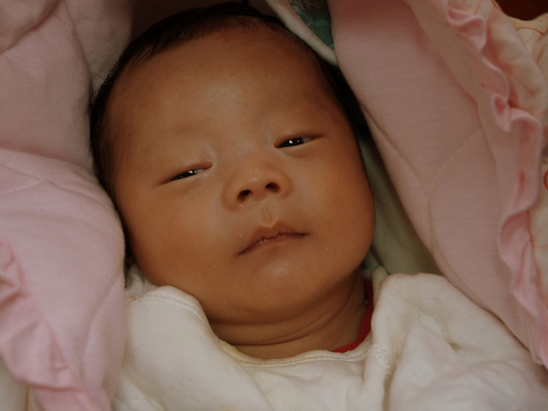 DSC02484.jpg