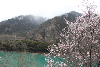 西藏 498.jpg