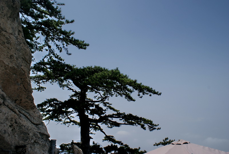 DSC04537_调整大小.jpg