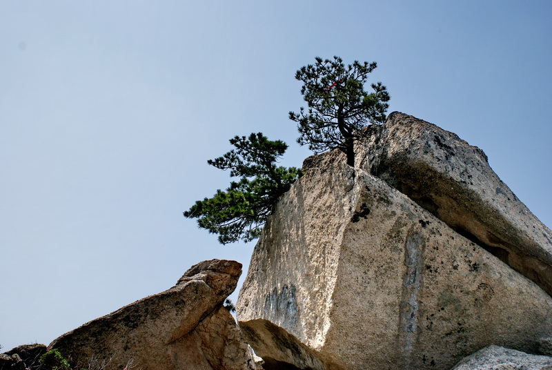 DSC04548_调整大小.jpg