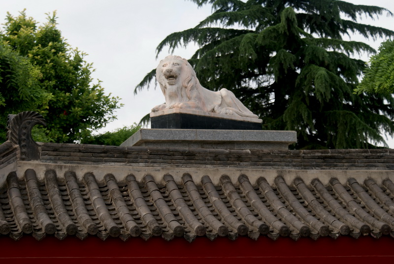 DSC04909_调整大小.jpg