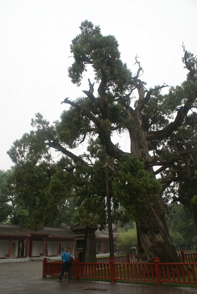 DSC04980_调整大小.jpg