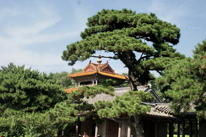DSC06235_调整大小.jpg