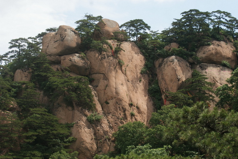 DSC06448_调整大小.JPG