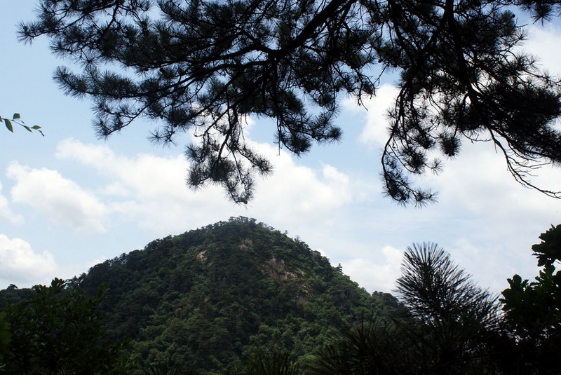 DSC06467_调整大小.jpg