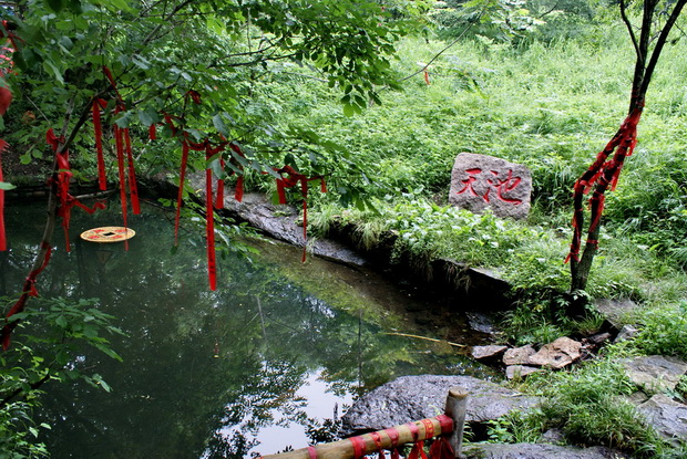 DSC06699_调整大小.jpg