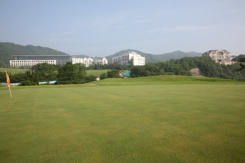 1O1A6077_调整大小.jpg
