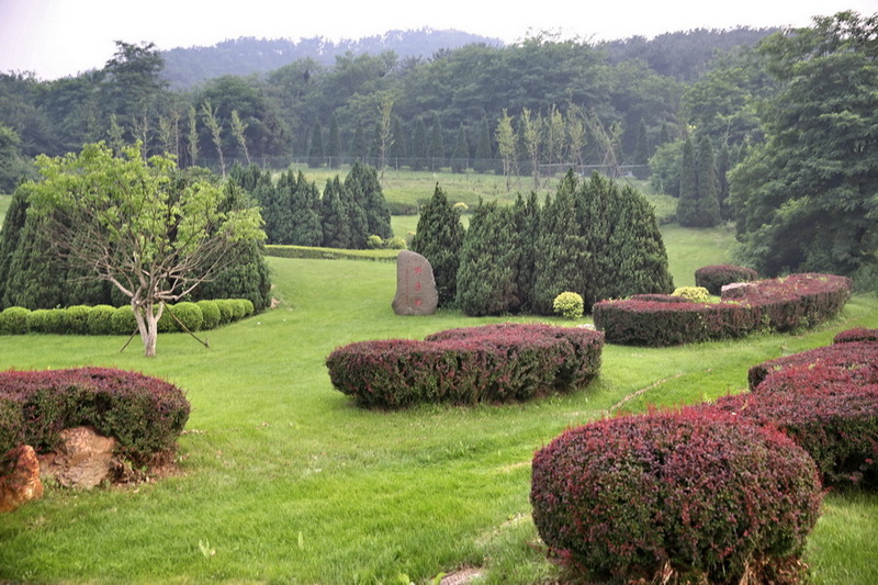 1O1A6286_调整大小.jpg