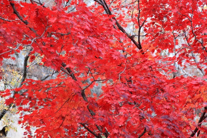 IMG_3542-2_副本.jpg