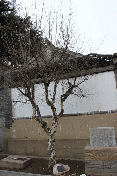 IMG_6818.jpg
