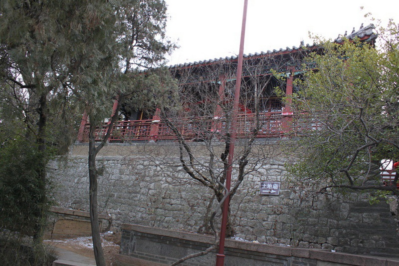 IMG_6848.jpg
