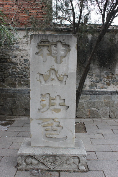 IMG_6873.jpg