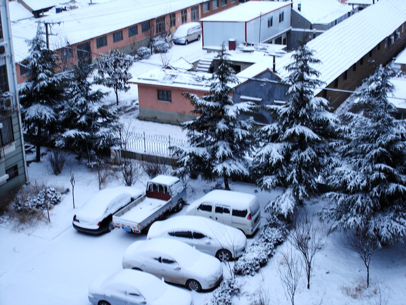DSC00799.JPG