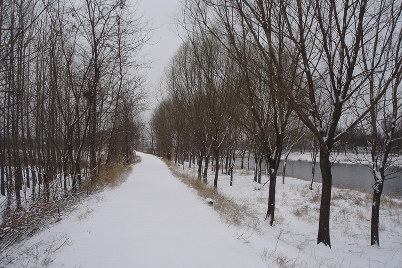 DSC00801.JPG
