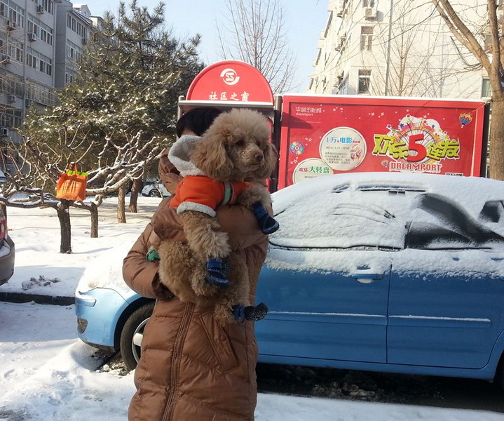 20140208_090800.jpg