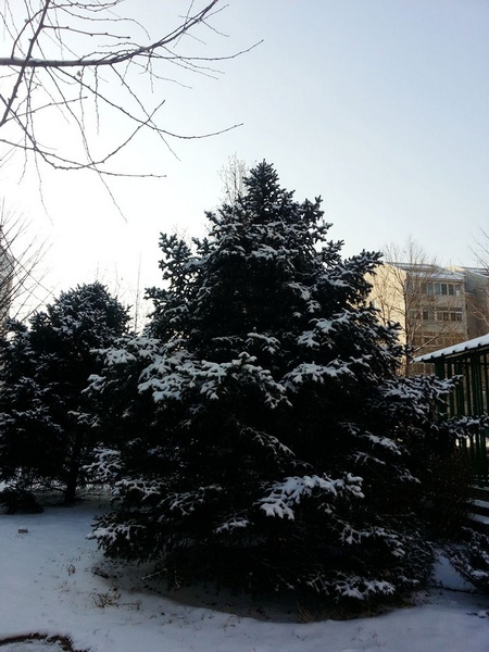 20140208_091459.jpg