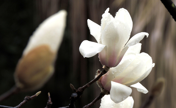 DSCN3358.jpg