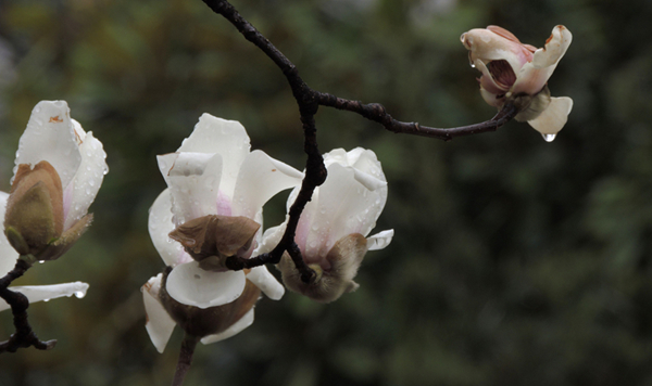 DSCN3359.jpg