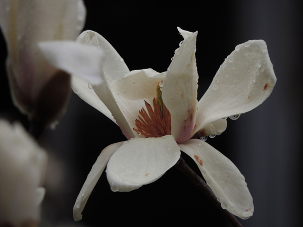 DSCN3368.jpg