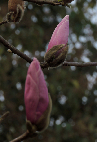 DSCN3380.jpg