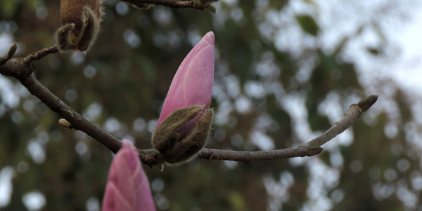 DSCN3381.jpg