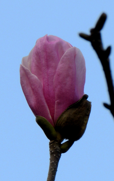 DSCN3384.jpg