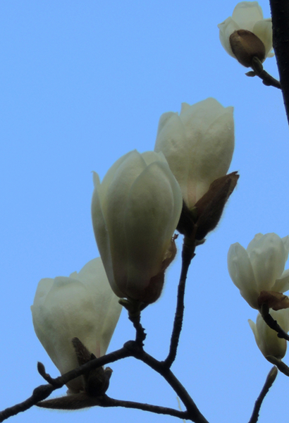 DSCN3387.jpg