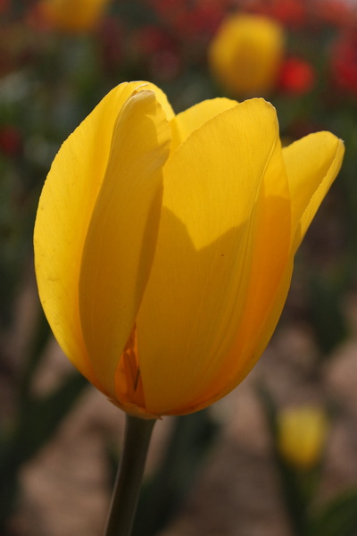 IMG_5007.jpg