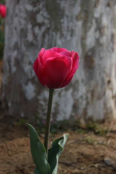 IMG_5086.jpg