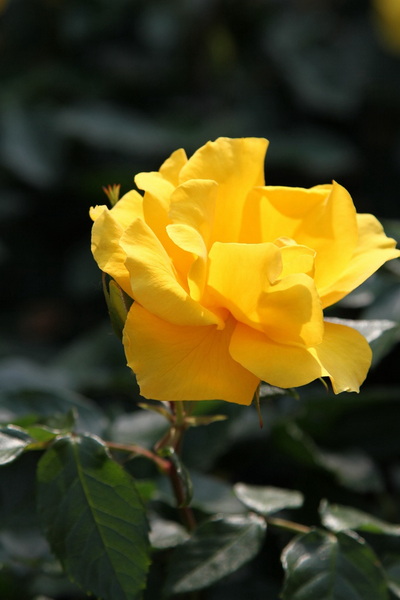 YBL_7784.jpg