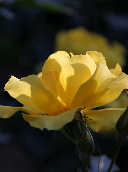 YBL_8186.jpg